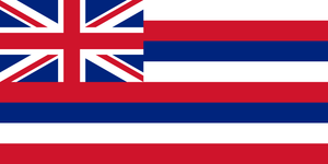 Hawaii Flag 3x5